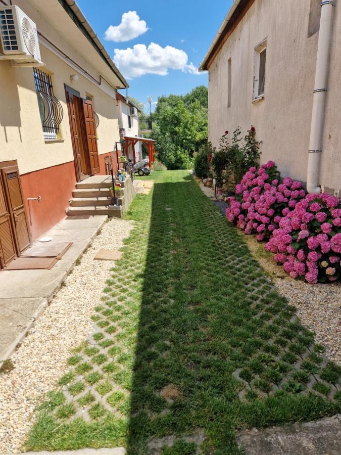 Gecse-Villa Sárospatak Exteriér fotografie